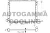 AUTOGAMMA 100462 Radiator, engine cooling